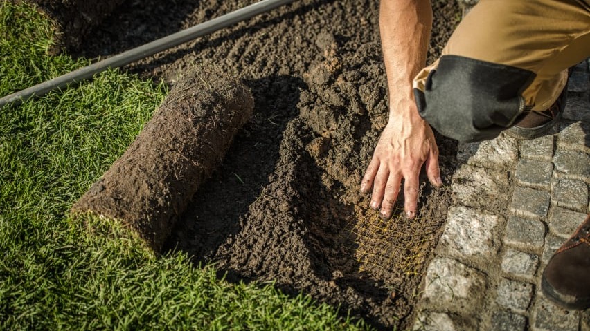 Revitalização / implantação e reforma de Jardins